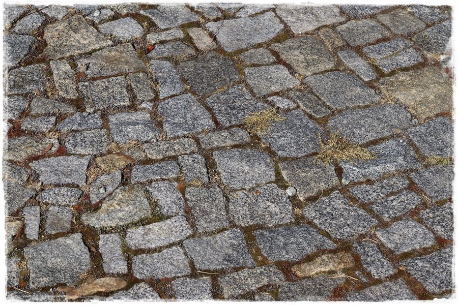 Jak zwalczyć chwasty bez chemii 14