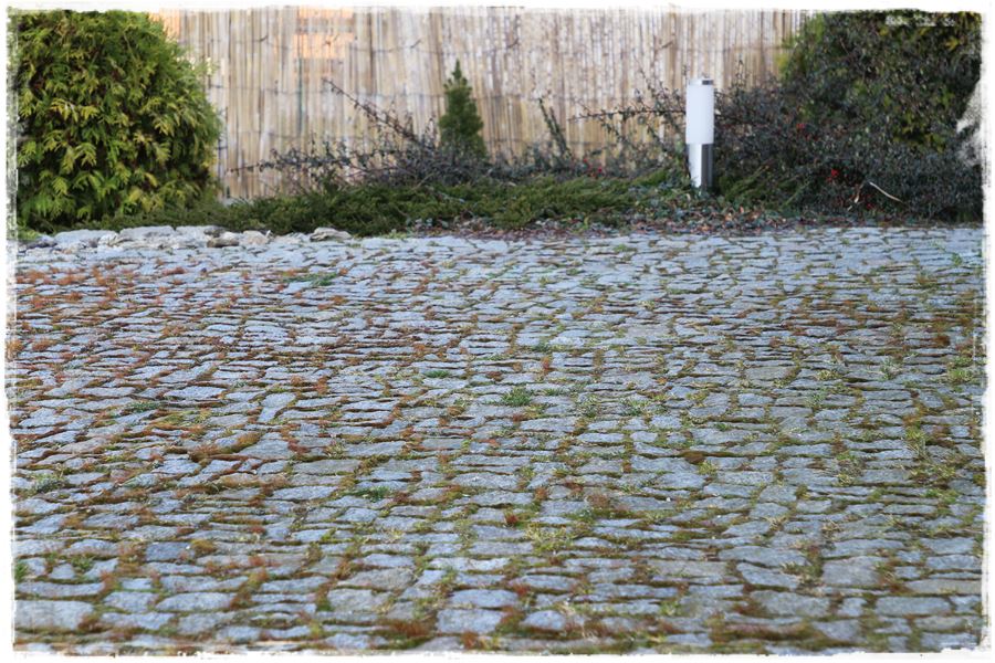 Jak zwalczyć chwasty bez chemii 3