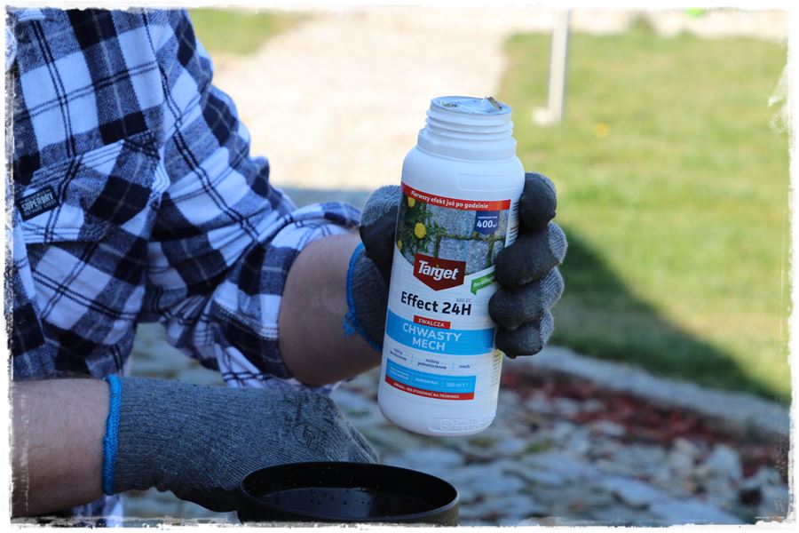 Jak zwalczyć chwasty bez chemii 4