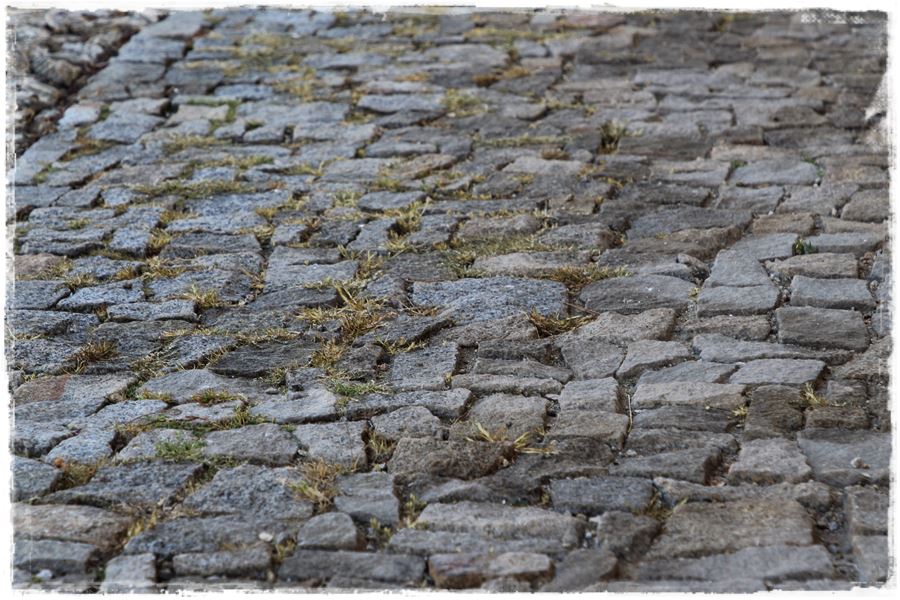 Jak zwalczyć chwasty bez chemii 5 Jak zwalczyć chwasty bez chemii 5