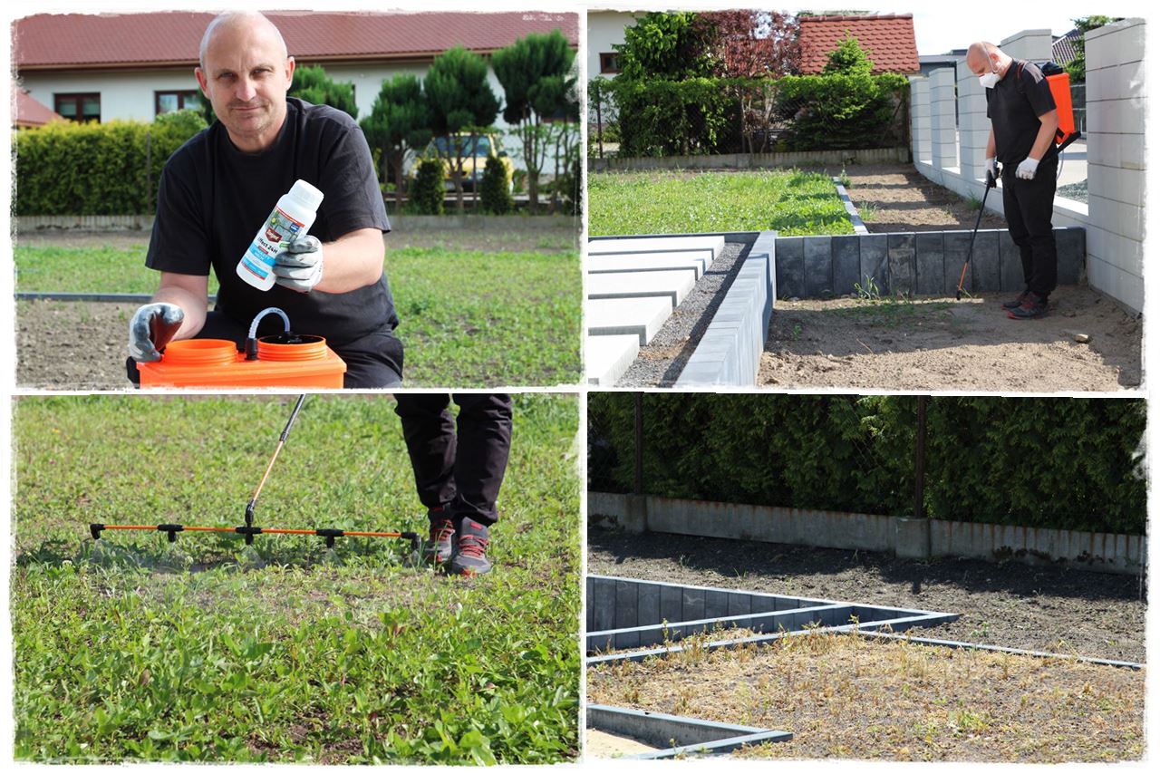 Jak zwalczyć chwasty bez chemii 7