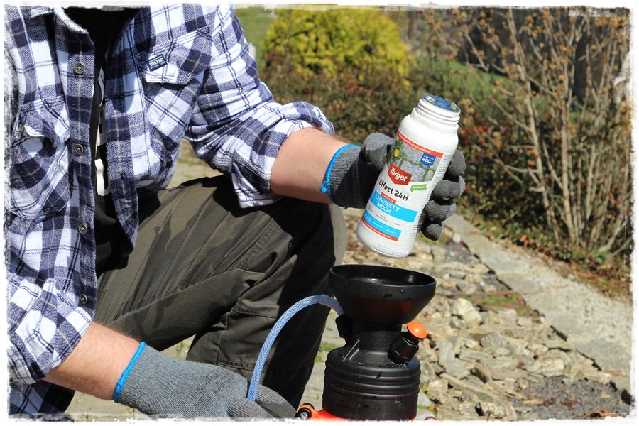 Jak zwalczyć chwasty bez chemii 8 Jak zwalczyć chwasty bez chemii 8