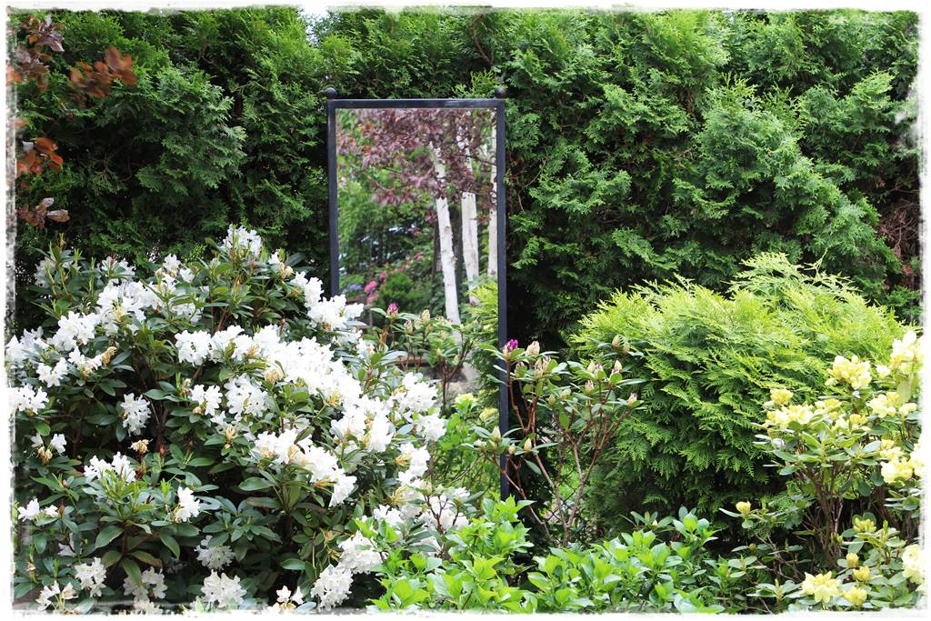 Kwitnące krzewy 40d