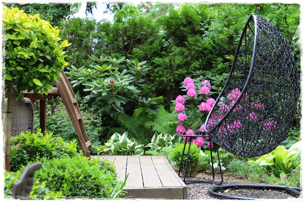 Kwitnące krzewy 40e