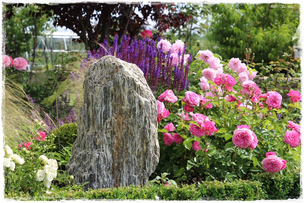 Kwitnące krzewy 80c