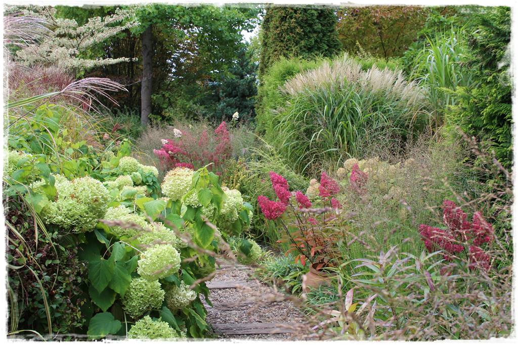 Kwitnące krzewy 90b