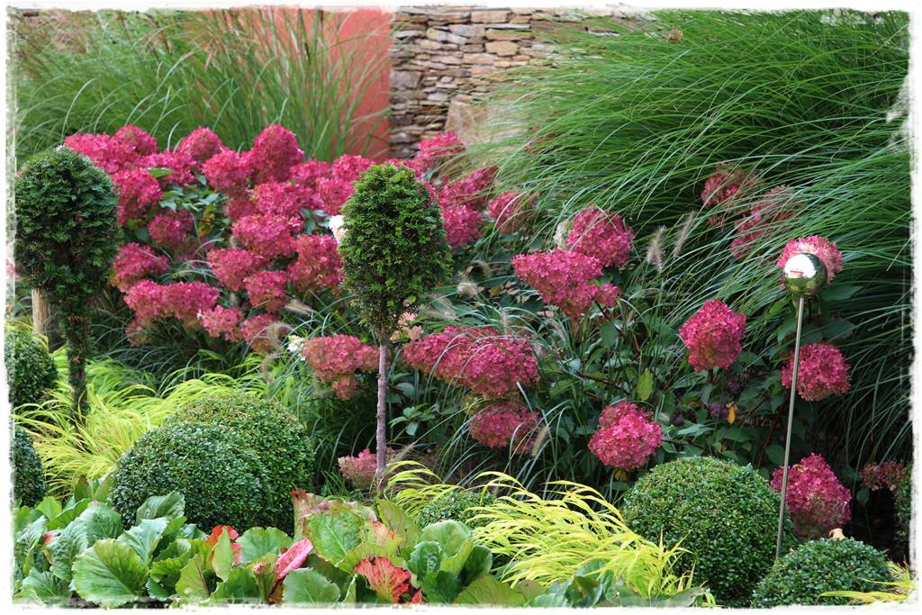 Kwitnące krzewy 90f