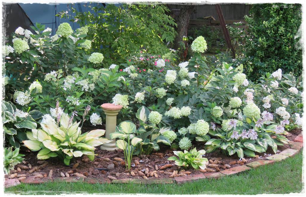 Kwitnące krzewy 90g