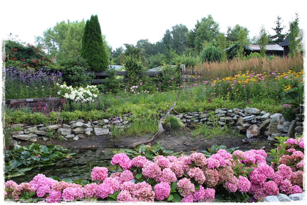 Kwitnące krzewy 90i