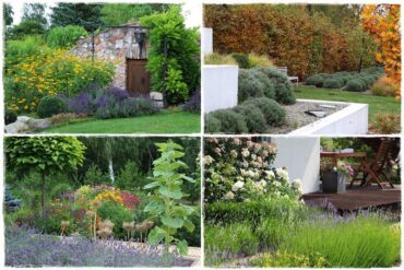 Lawenda w ogrodzie aranżacje 1