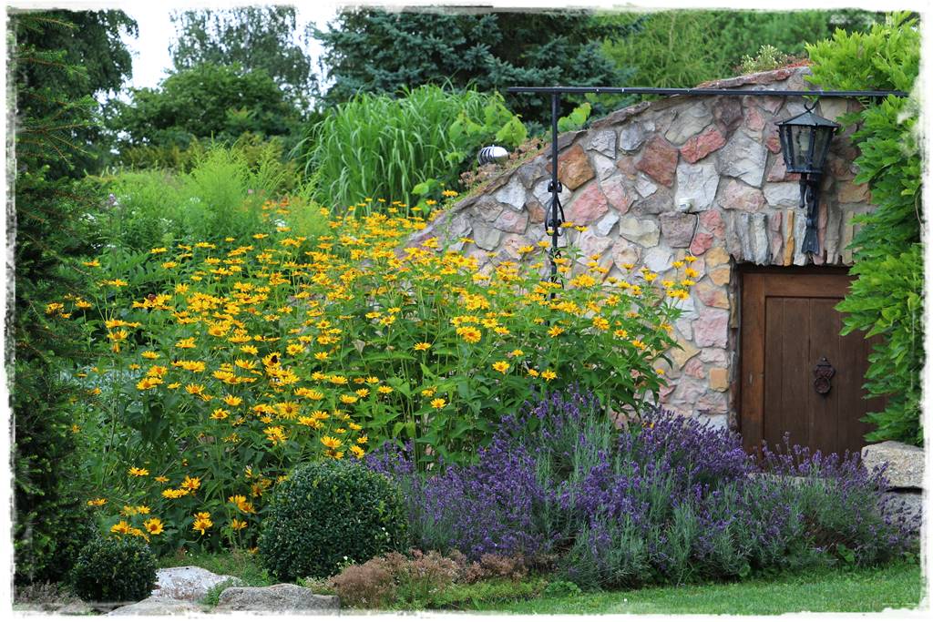 Lawenda w ogrodzie aranżacje 10