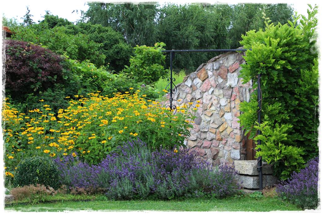 Lawenda w ogrodzie aranżacje 10b