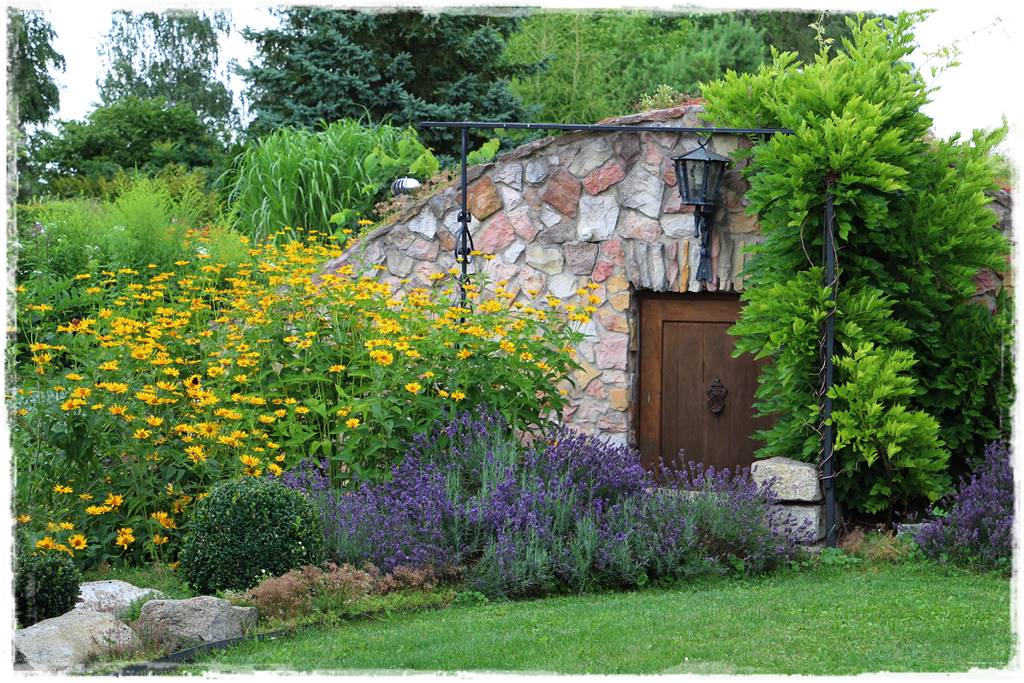 Lawenda w ogrodzie aranżacje 10c