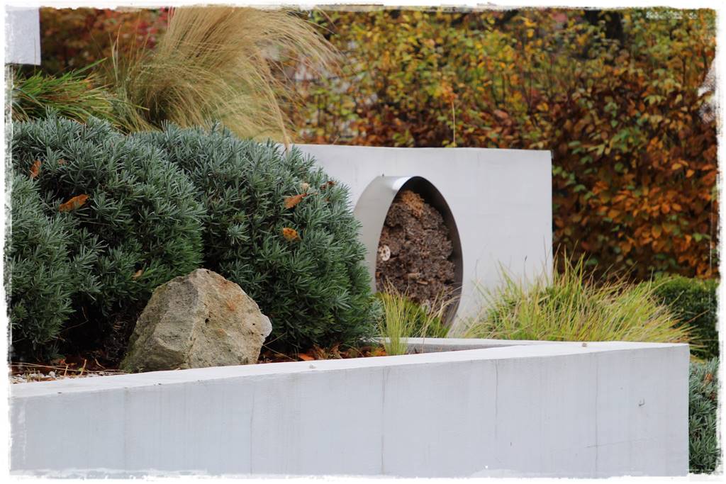 Lawenda w ogrodzie aranżacje 2