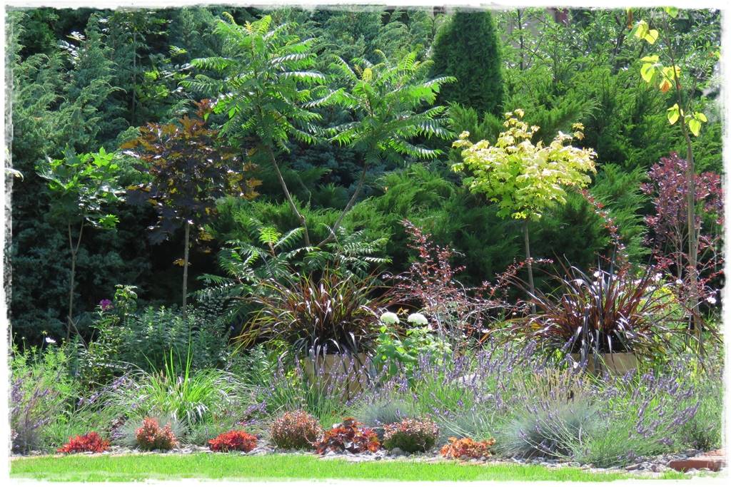 Lawenda w ogrodzie aranżacje 30