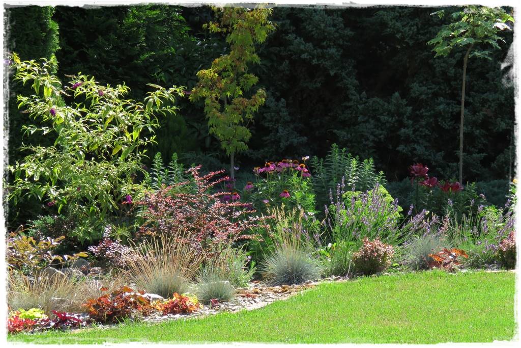 Lawenda w ogrodzie aranżacje 30d