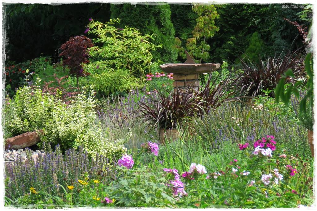 Lawenda w ogrodzie aranżacje 30e