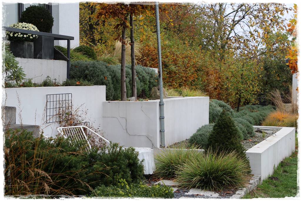 Lawenda w ogrodzie aranżacje 40b