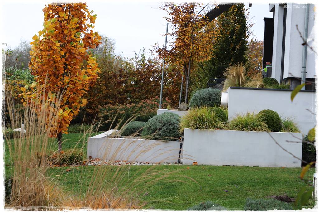 Lawenda w ogrodzie aranżacje 40d