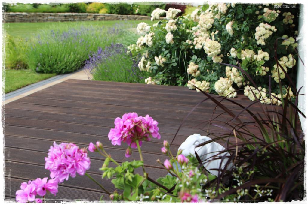 Lawenda w ogrodzie aranżacje 50b