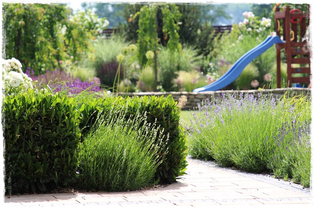 Lawenda w ogrodzie aranżacje 50e