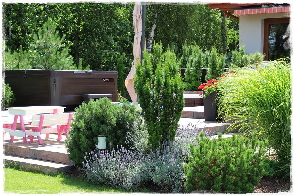 Lawenda w ogrodzie aranżacje 60