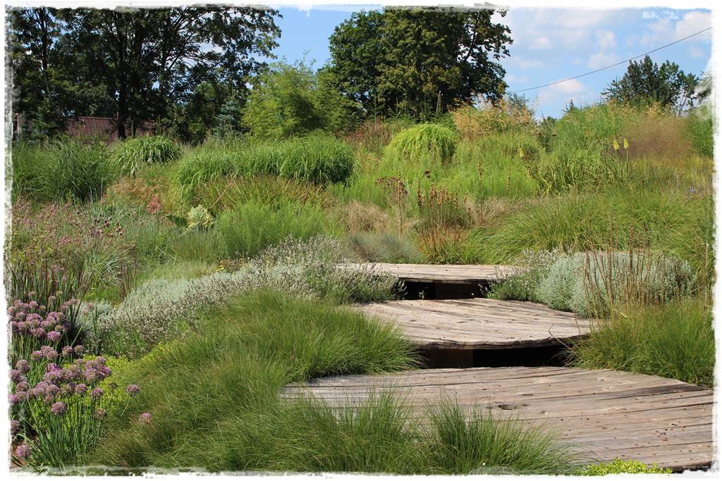Lawenda w ogrodzie aranżacje 70b