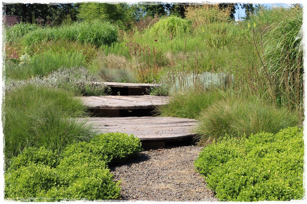 Lawenda w ogrodzie aranżacje 70c