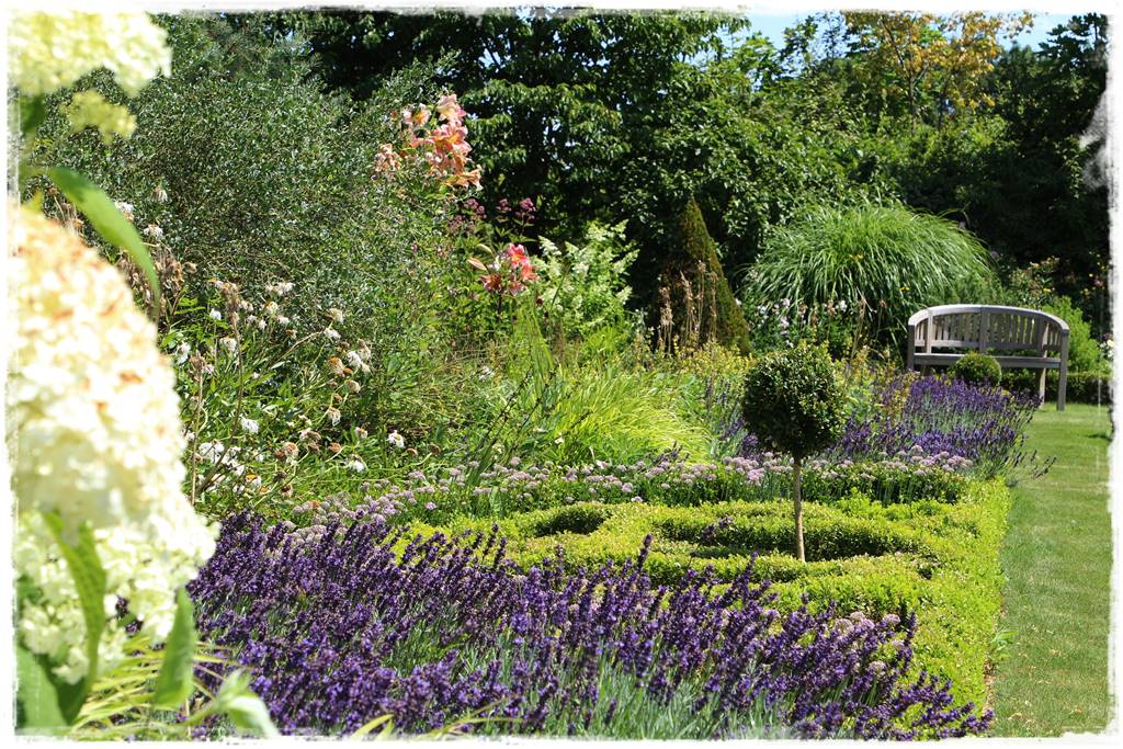 Lawenda w ogrodzie aranżacje 80