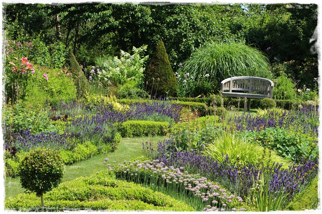 Lawenda w ogrodzie aranżacje 80b