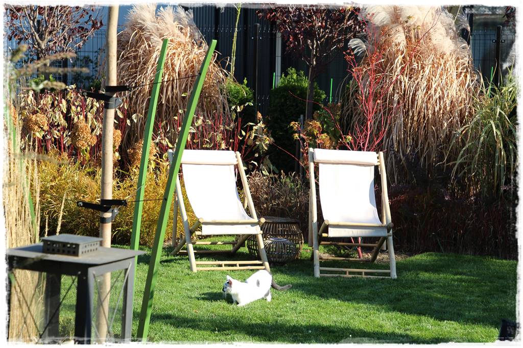 Miskant w ogrodzie aranżacje 201d Miskant w ogrodzie aranżacje 201d