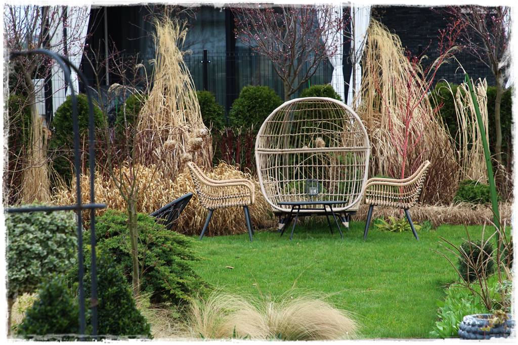 Miskant w ogrodzie aranżacje 201g