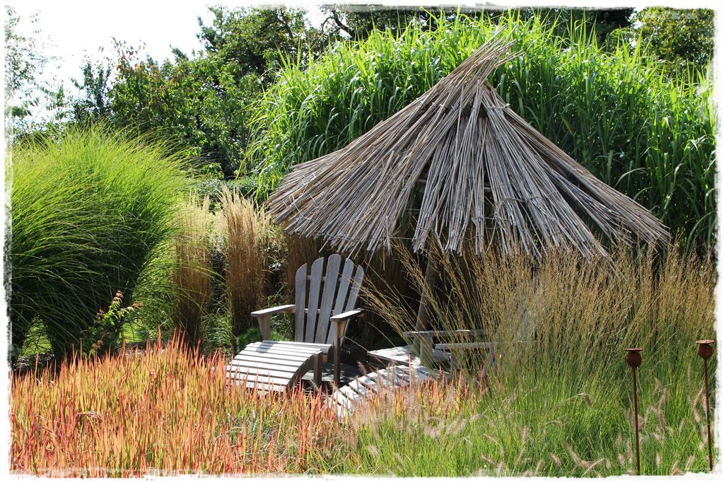 Miskant w ogrodzie aranżacje 202d Miskant w ogrodzie aranżacje 202d