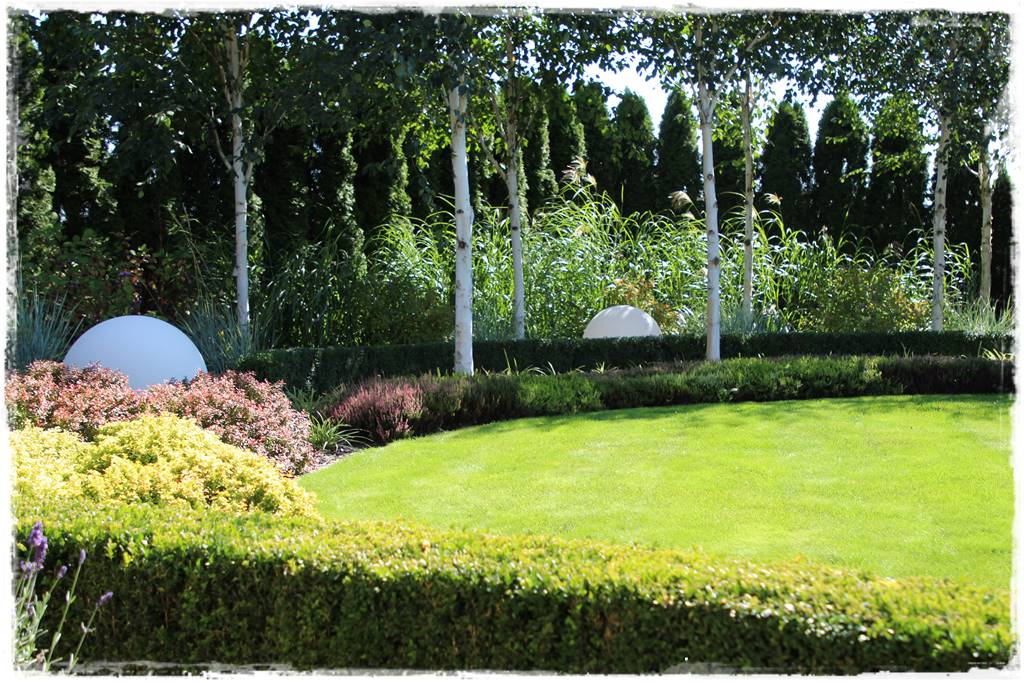 Miskant w ogrodzie aranżacje 205 Miskant w ogrodzie aranżacje 205