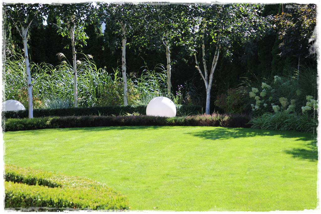 Miskant w ogrodzie aranżacje 205b Miskant w ogrodzie aranżacje 205b