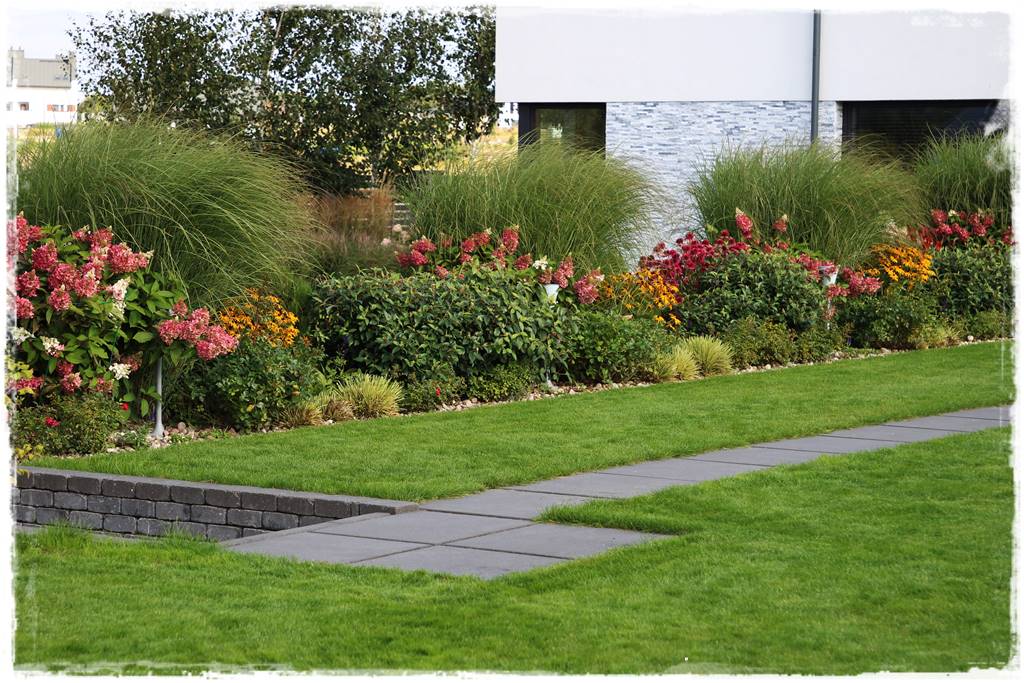 Miskant w ogrodzie aranżacje 209 Miskant w ogrodzie aranżacje 209