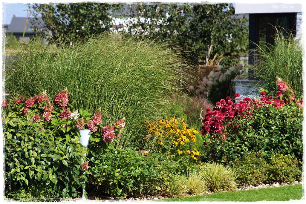 Miskant w ogrodzie aranżacje 209b Miskant w ogrodzie aranżacje 209b