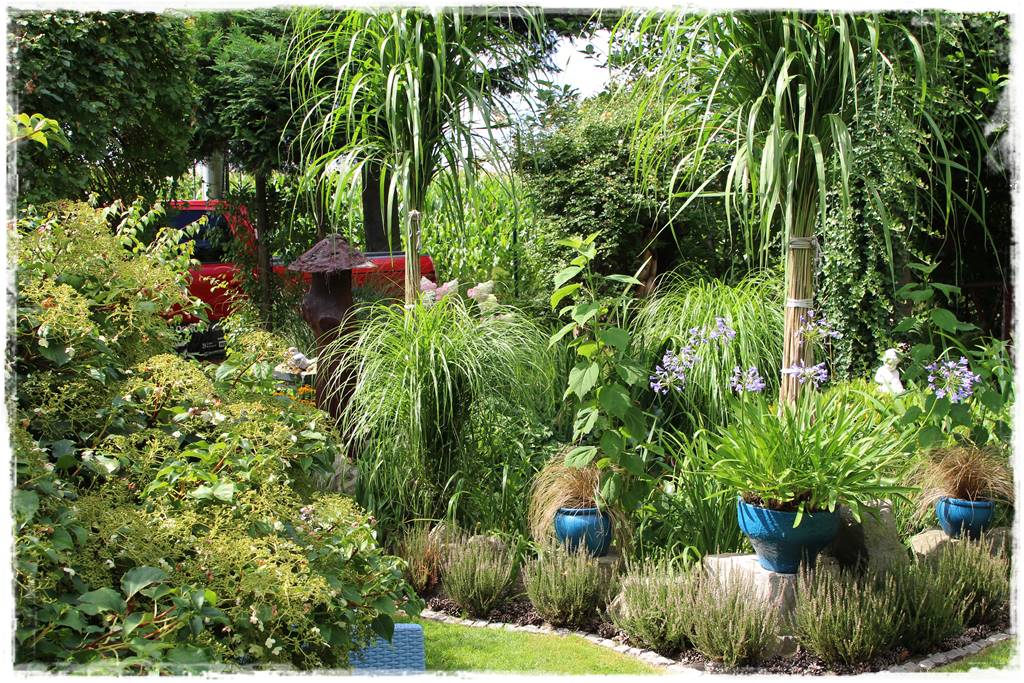 Miskant w ogrodzie aranżacje 210 Miskant w ogrodzie aranżacje 210