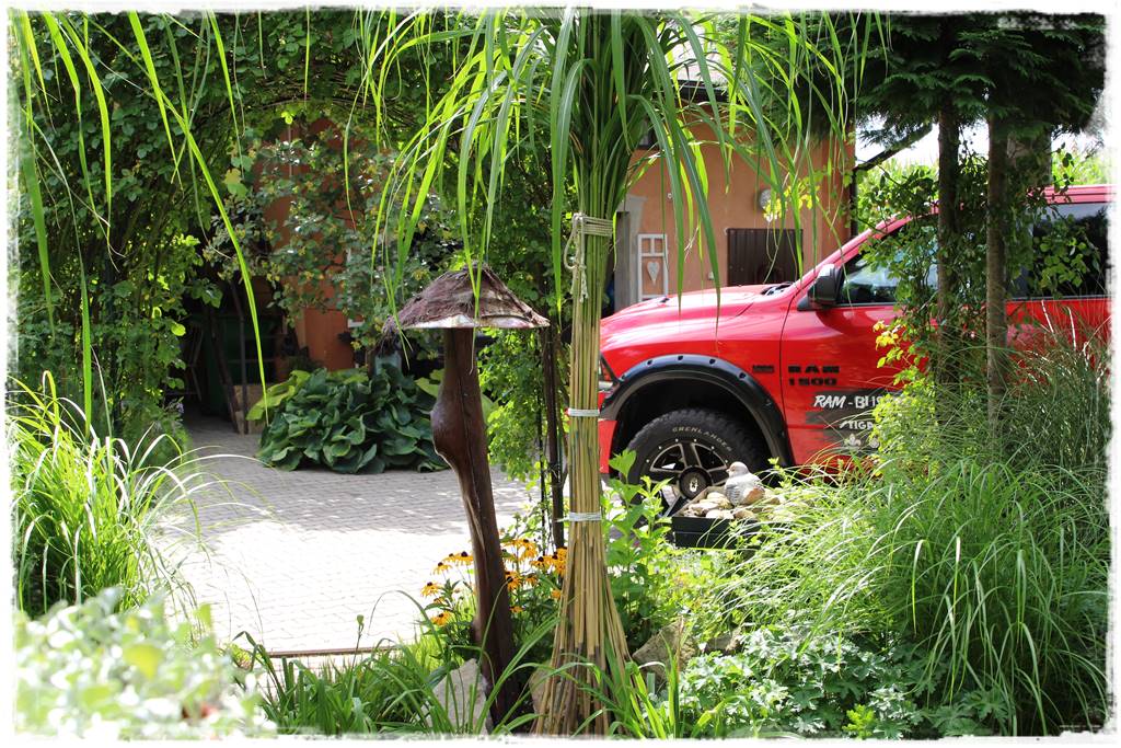 Miskant w ogrodzie aranżacje 210b Miskant w ogrodzie aranżacje 210b