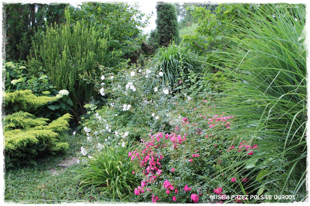 Ogród dla dzieci – ciekawe aranżacje 11