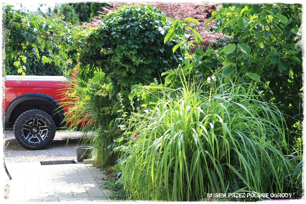 Ogród dla dzieci – ciekawe aranżacje 14