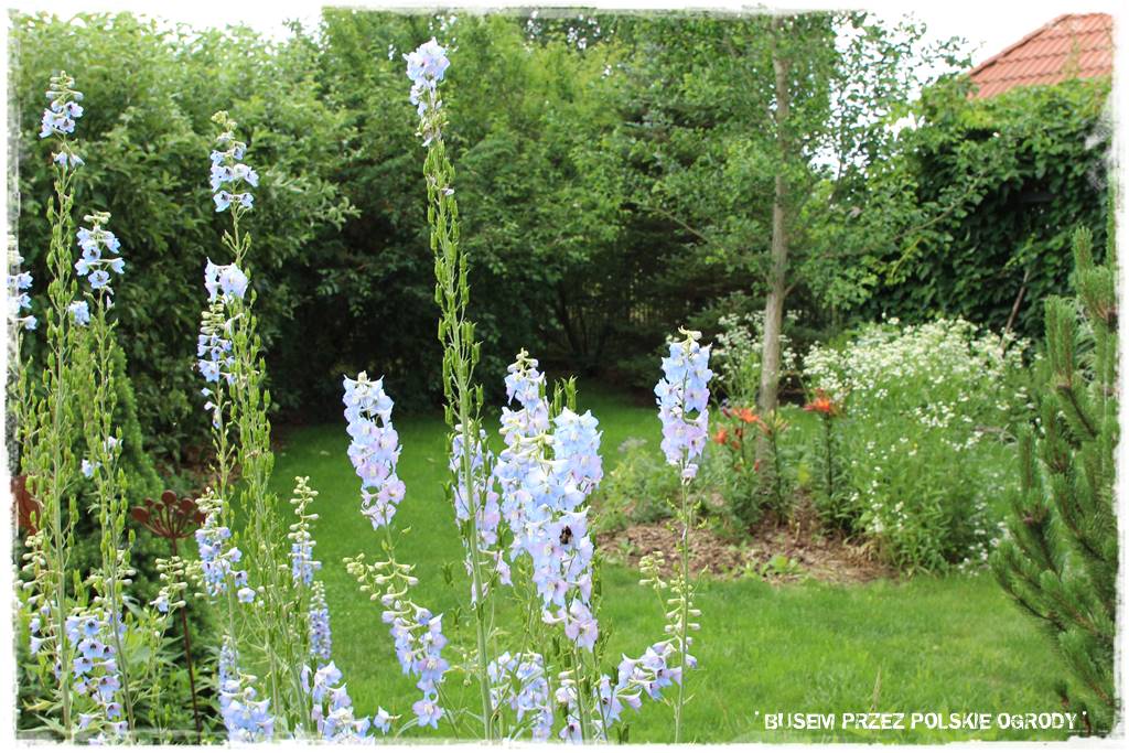 Ogród dla dzieci – ciekawe aranżacje 15