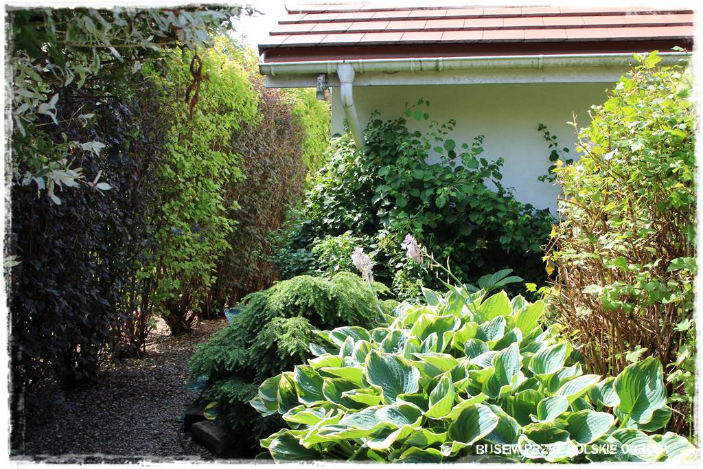 Ogród dla dzieci – ciekawe aranżacje 18