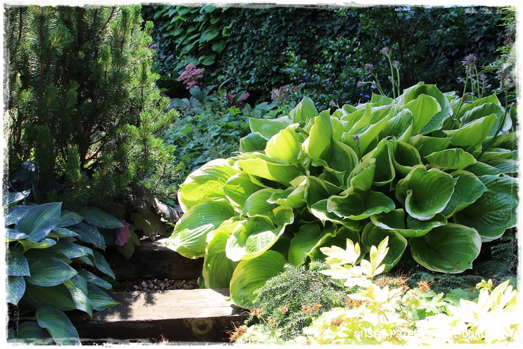 Ogród dla dzieci – ciekawe aranżacje 19