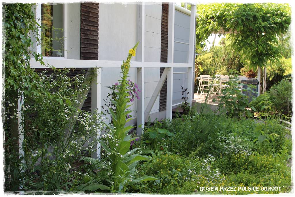 Ogród dla dzieci – ciekawe aranżacje 20