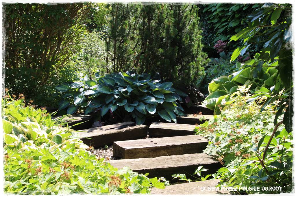 Ogród dla dzieci – ciekawe aranżacje 30