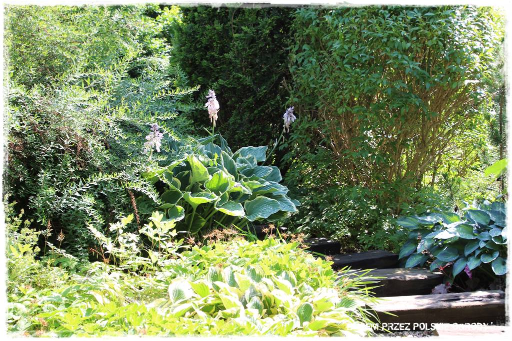 Ogród dla dzieci – ciekawe aranżacje 32