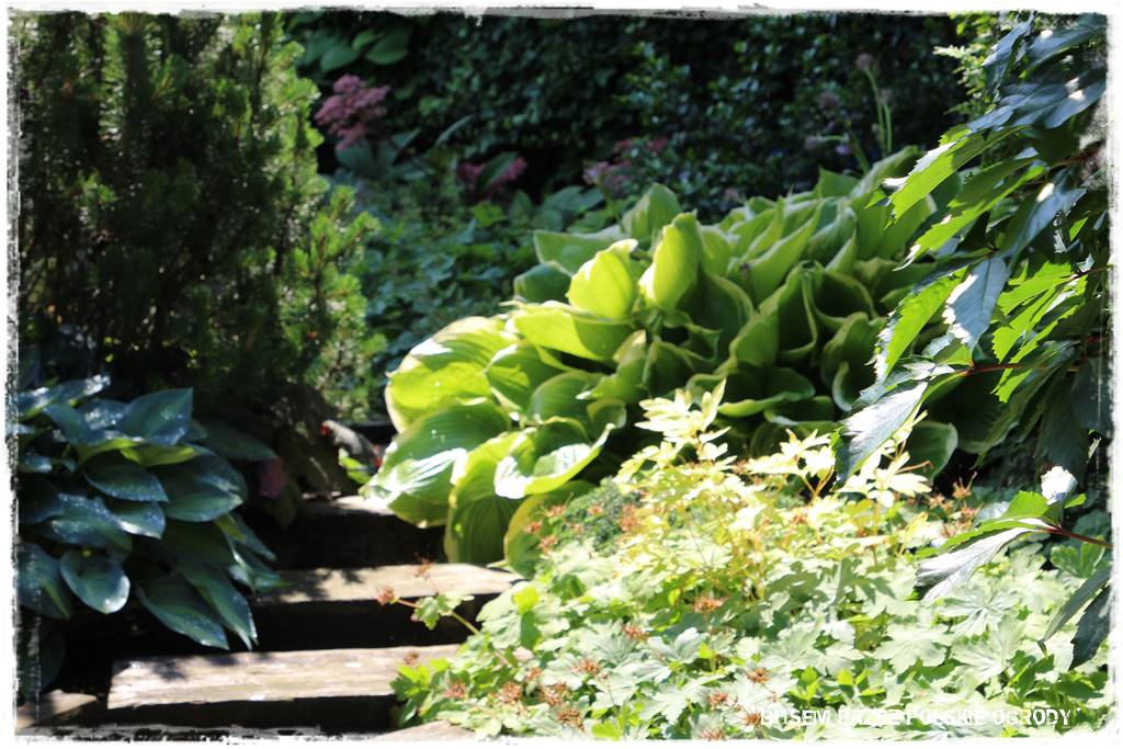 Ogród dla dzieci – ciekawe aranżacje 33