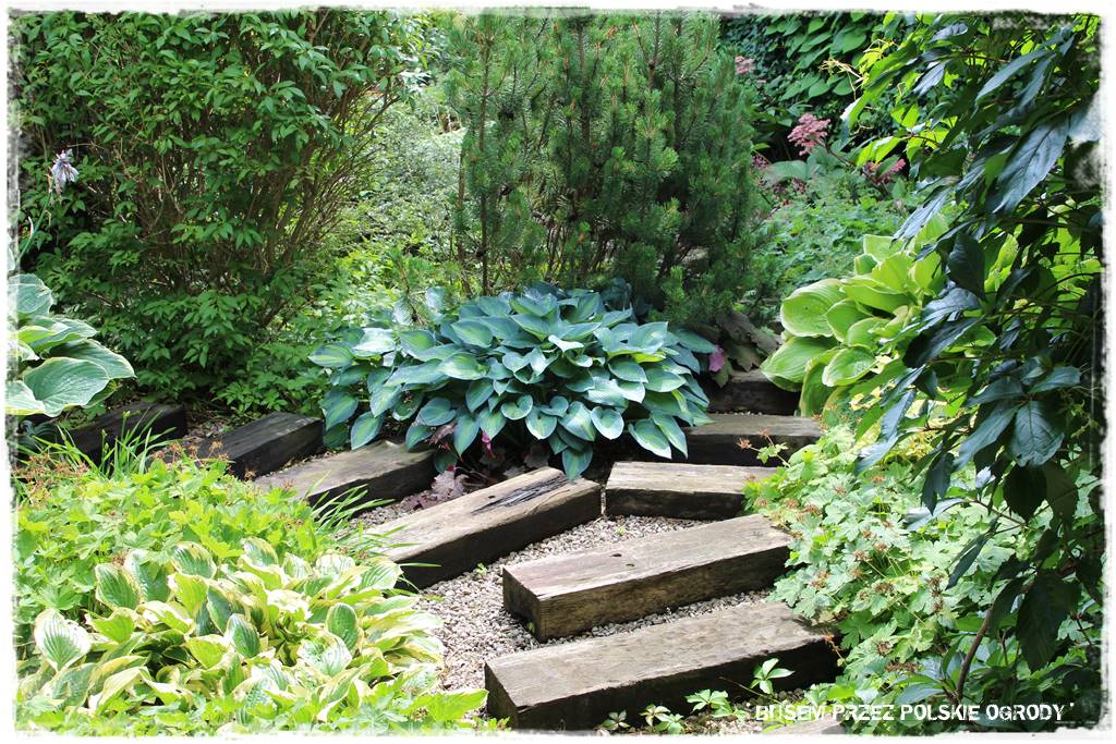 Ogród dla dzieci – ciekawe aranżacje 34