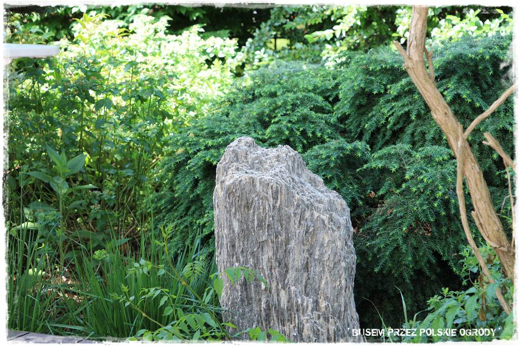 Ogród dla dzieci – ciekawe aranżacje 47